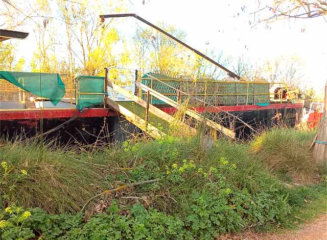 Grue bateau